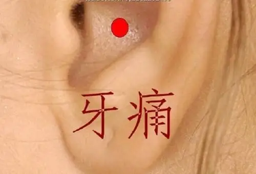 耳朵穴位耳背沟图片_有来医生