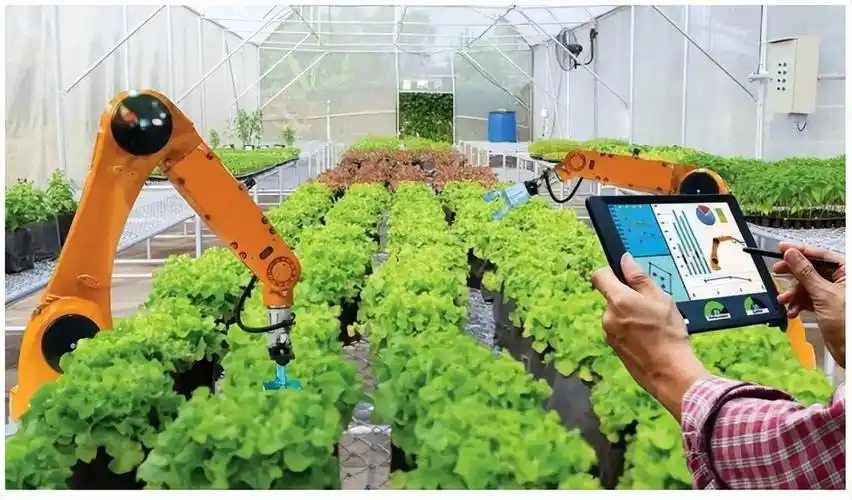 数字化,网络化,智能化农业转型加快,智慧农业落地见效 - 聚英云农