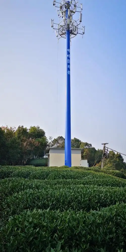 路过高高的电信塔.难怪山上的通讯网络信号那么流畅.