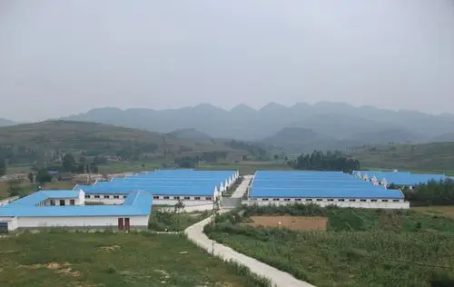 毕节市金沙县禹谟镇绿健公司生猪养殖场