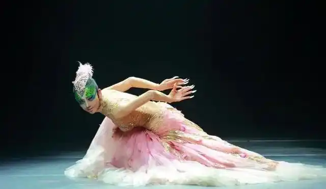 61岁杨丽萍未生养,与男弟子舞蹈动作引热议,网友:不能理解|孔雀舞|杨