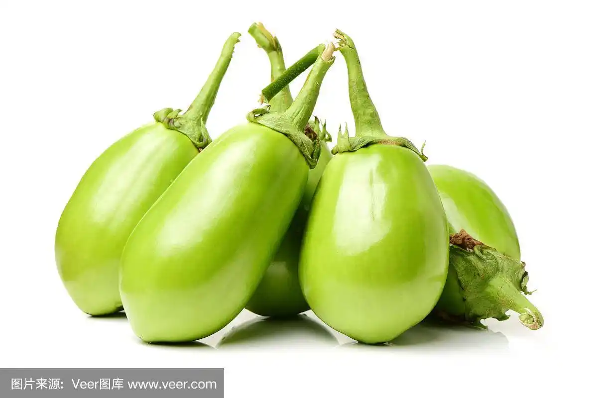 绿色的茄子