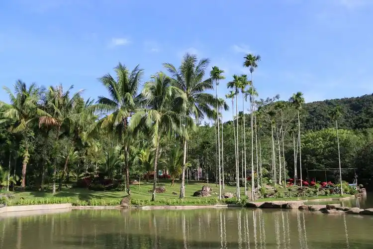 中国三亚美丽的呀诺达雨林我们曾经在一起20181117游览