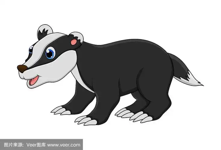 卡通獾动物孤立的白色背景
