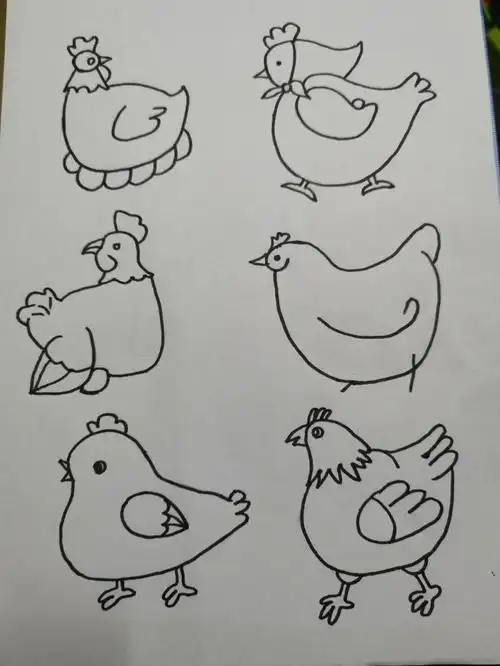 简笔画母鸡