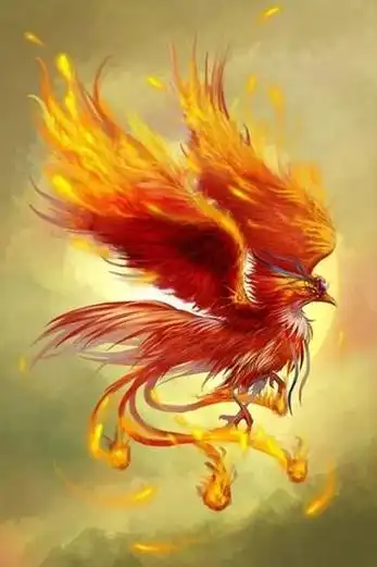 有关凤凰的身世的问题一直是学者们研究的热门话题,那么它是不是真实