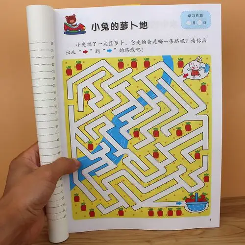 迷宫邦臣大班智力开发右脑力左专注观察益智游戏