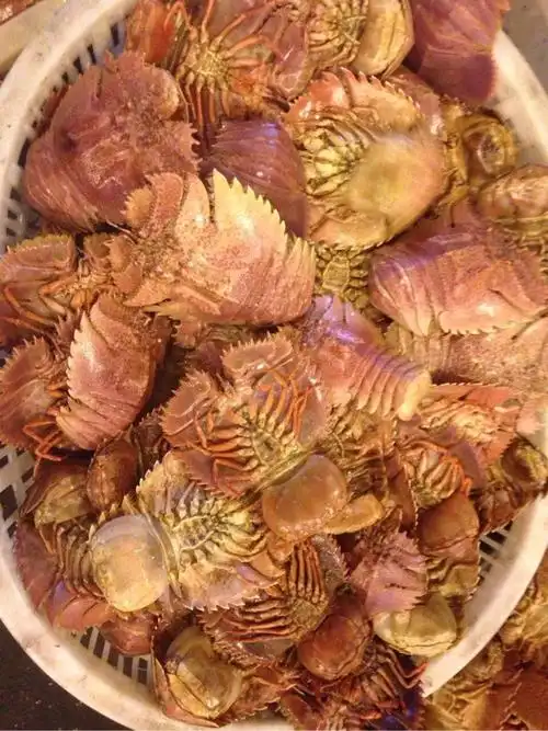 在松门,浙里靠海边!