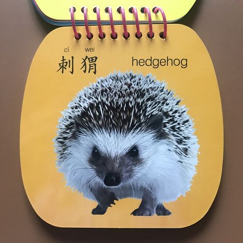 认识动物大卡加厚翻翻书宝宝早教启蒙认知图书籍幼儿童0-1-2-6岁3识图