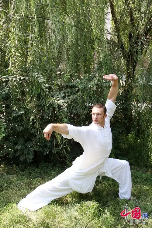 武术"缘     我来自舞蹈世家,所以学习动作很