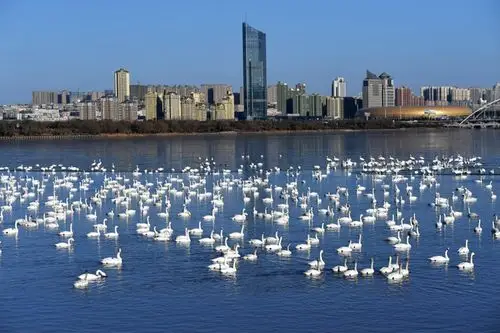 我国湿地面积8亿亩 位居世界第四_图片新闻_中国政府网