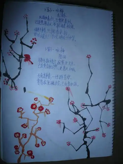 古诗配画-卜算子.咏梅