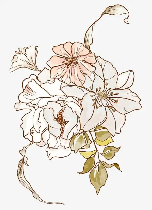 手绘花卉花朵装饰素材免费下载_觅元素