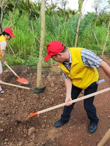 琼山五小党员参与新时代文明实践之"知行"琼山教育局志愿植树活动