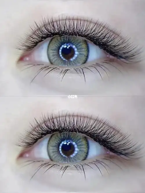 四叶草睫毛嫁接