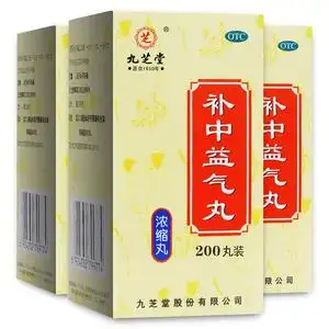 九芝堂补中益气丸脾虚rh益肾丸脾虚湿气重肝火旺18.30618.