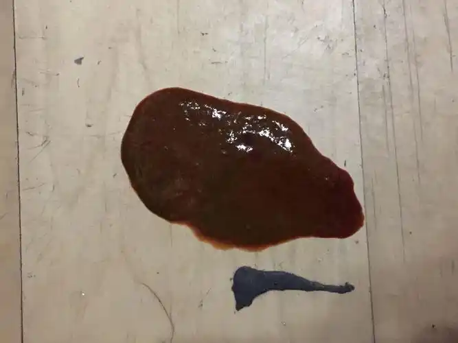 金毛狗 8个月,今天拉稀带血了 精神很好 没有吐,请问是什么情况么