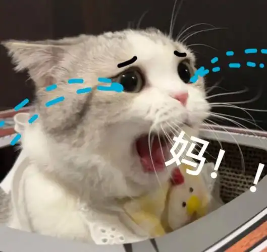 用小泡芙跟风做了妈宝女表情包哈哈哈哈#表情包 ,这三张哪个好呀?