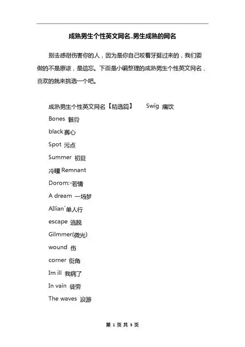 成熟男生个性英文网名_男生成熟的网名.docx 3页