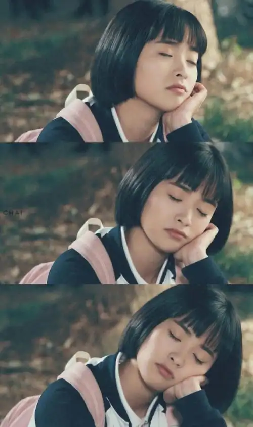 致我们单纯的小美好