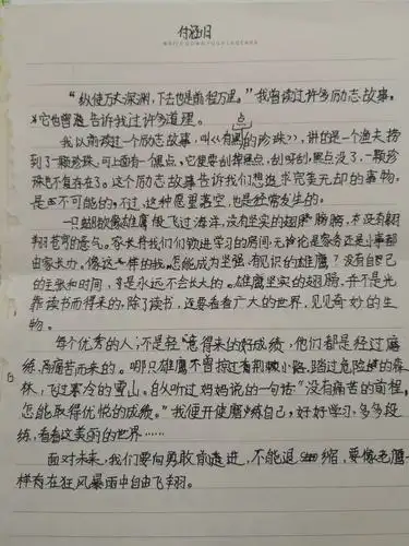 四,五班优秀励志作文展示