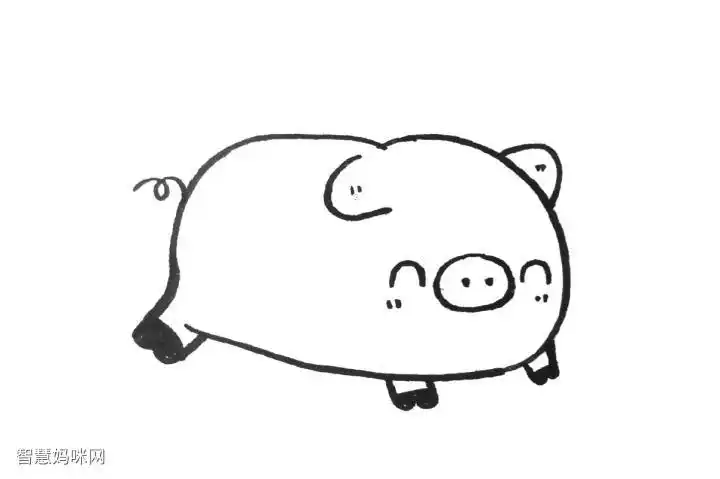 一组胖乎乎的小猪简笔画图片-图8