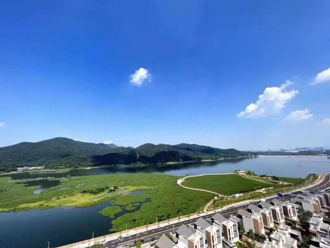 大旺国家高新区腹地 央企保利梦想城 5字头带装修 带学位