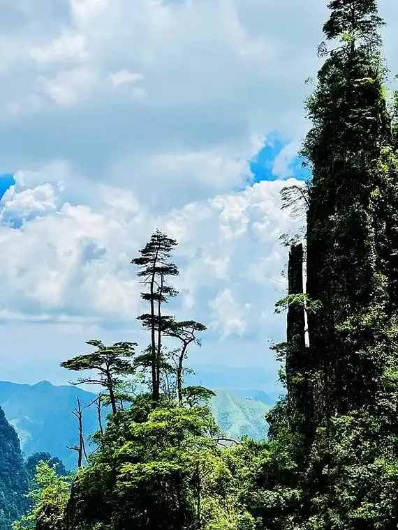 湖南省郴州莽山风景区图片 ◎ 莽山风景优美 ◎ @拍摄木子, - 抖音