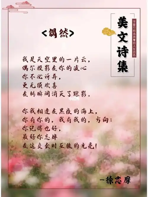 美文诗集读诗词偶然徐志摩的诗