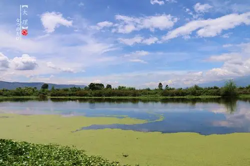 世界之【白族姑娘带你看四季的大理】图片262,大理旅游景点,风景名胜