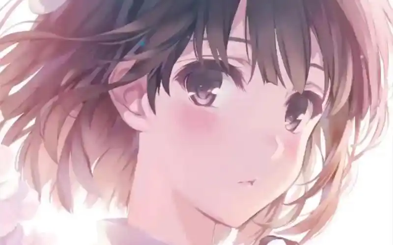 樱花加藤惠——wallpaper engine手机版壁纸_哔哩哔哩_bilibili