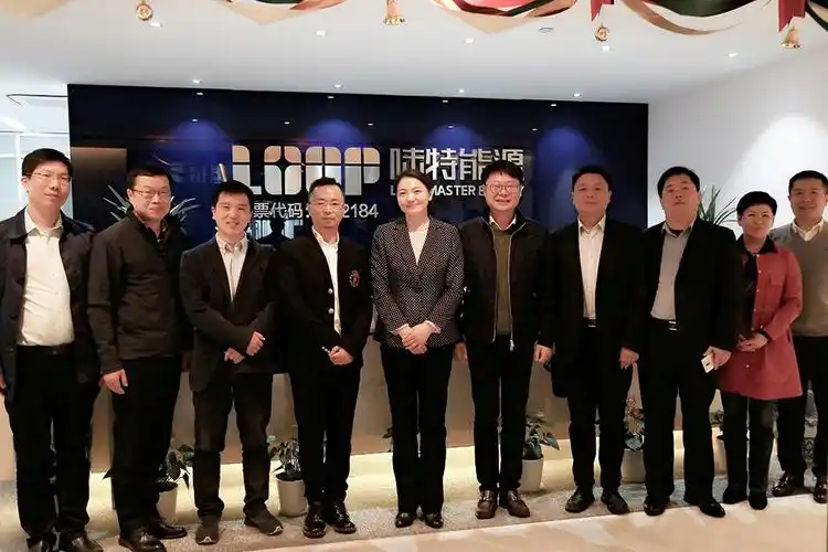 开封市禹王台区陶毓敏区长一行莅临陆特能源考察指导