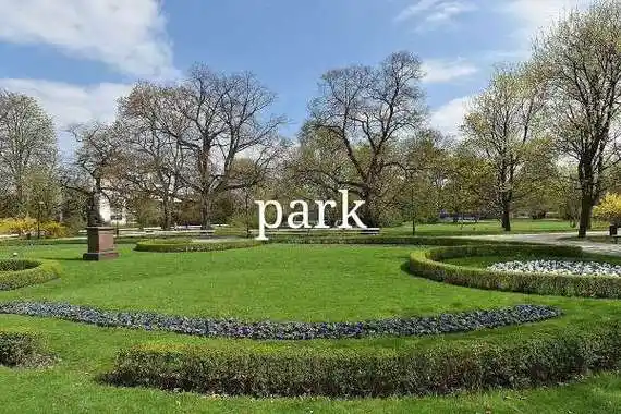 park是什么中文意思