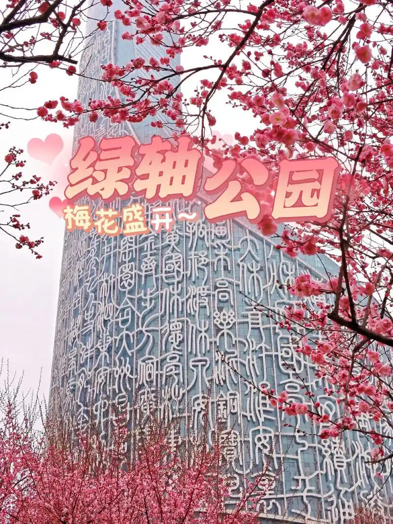 红了合肥春天的第一站绿轴公园