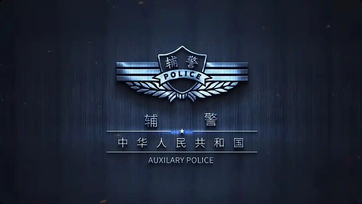 藏蓝壁纸 #辅警 #藏蓝荣誉 #警察 - 抖音