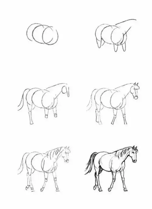 马儿简笔画教程超多关于马的画法马的画法 (转载)儿童简笔画马的画法