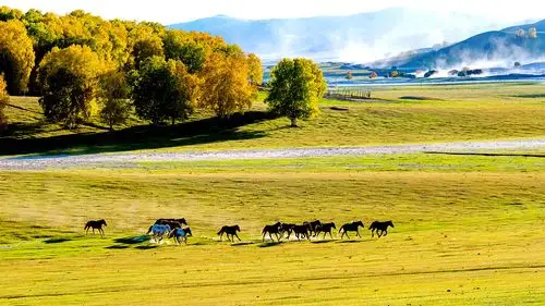 乌兰布统草原自然风光高清图片桌面壁纸高清大图预览1600x900_风景