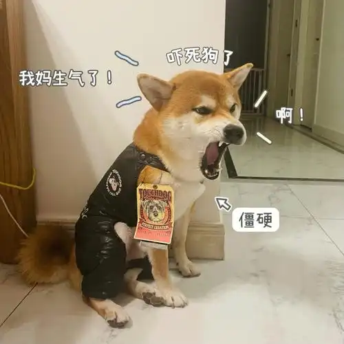 我把我妈气炸了怎么办71在线等挺急的05