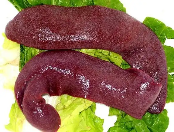 猪脾的功效与作用_猪脾的制作技巧