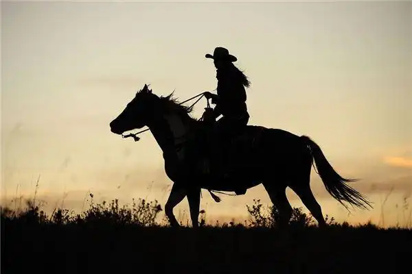 梦到被骑马的人追,但是我没有骑马,跑啊跑_奇库网