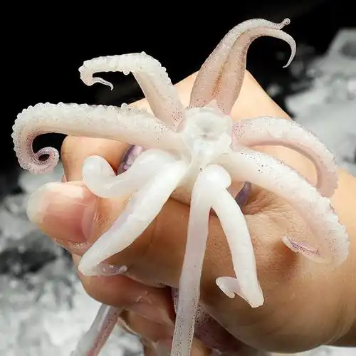 鱿鱼焯水后能冷藏多久呢