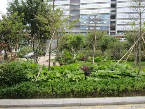 园林绿化 园林景观实景 【欣赏】一个不错的写字楼周边绿化