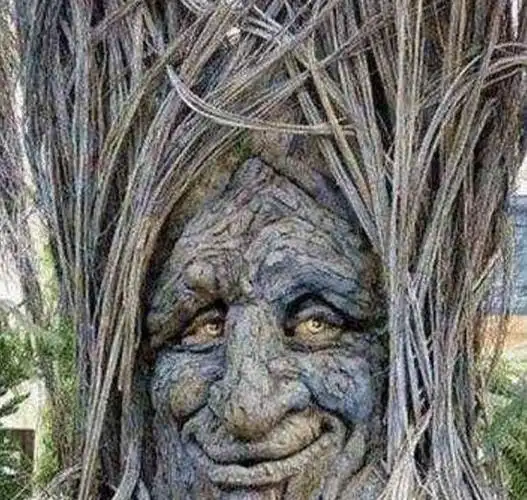 食人树吃人是真的吗印尼吃人树是怎么吃掉人的