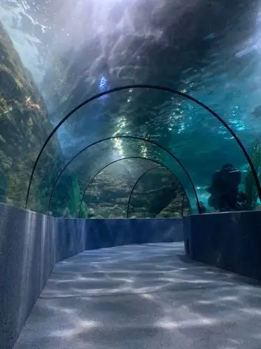 南昌海洋馆之行