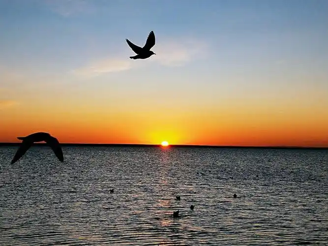 太阳出了,太阳完整地跃出了地平线,金色的阳光洒满大地.