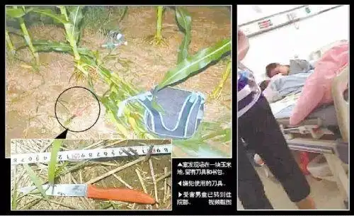 7岁男童玉米地被捅肠子流了出来 大娘在附近喝百草枯