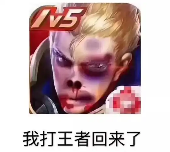 求王者的一个表情包