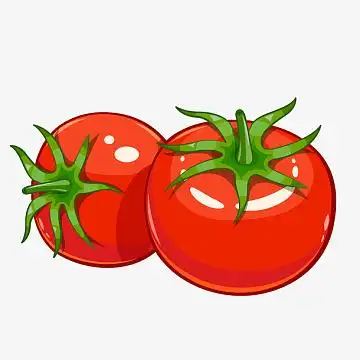 手绘西红柿png下载