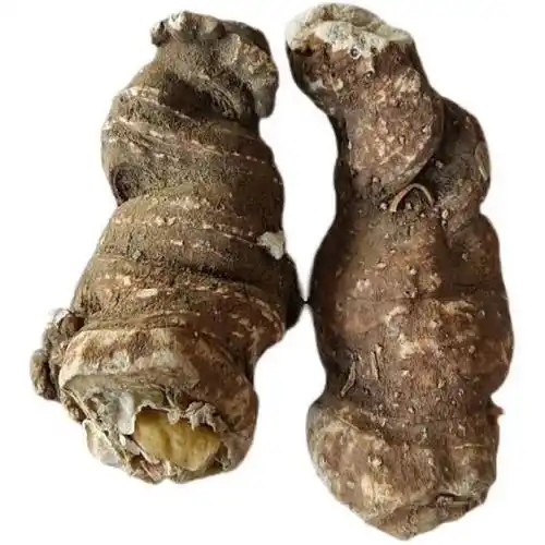 十年特级重楼中药材独角莲蚤休草干货50g 新鲜水洗大个500g【图片