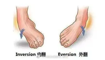 踝内翻,外翻扭伤